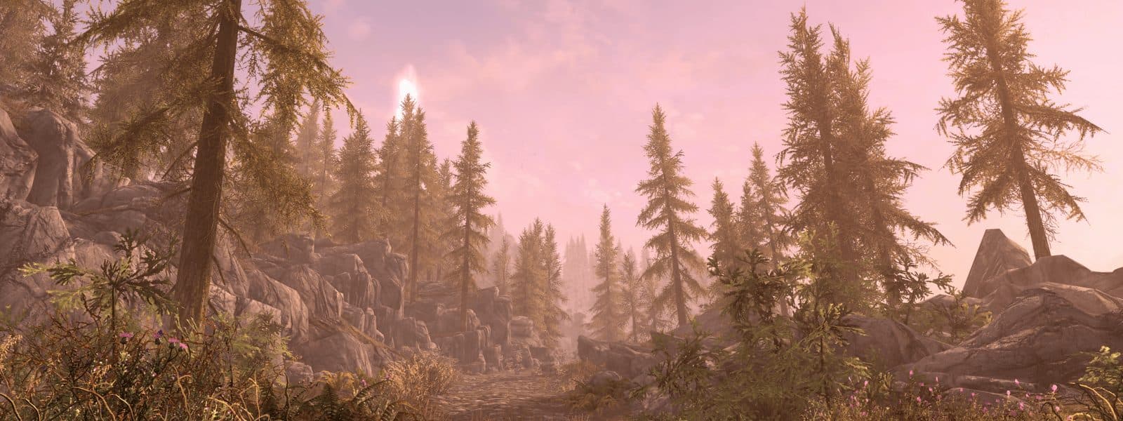 What Made Skyrim So Great And What Do We Want To See In The Elder Scrolls 6?