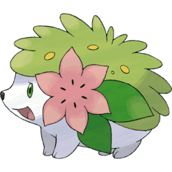 Cutest Pokemon Shaymin