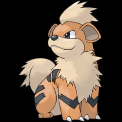 Growlithe Cute pokemon