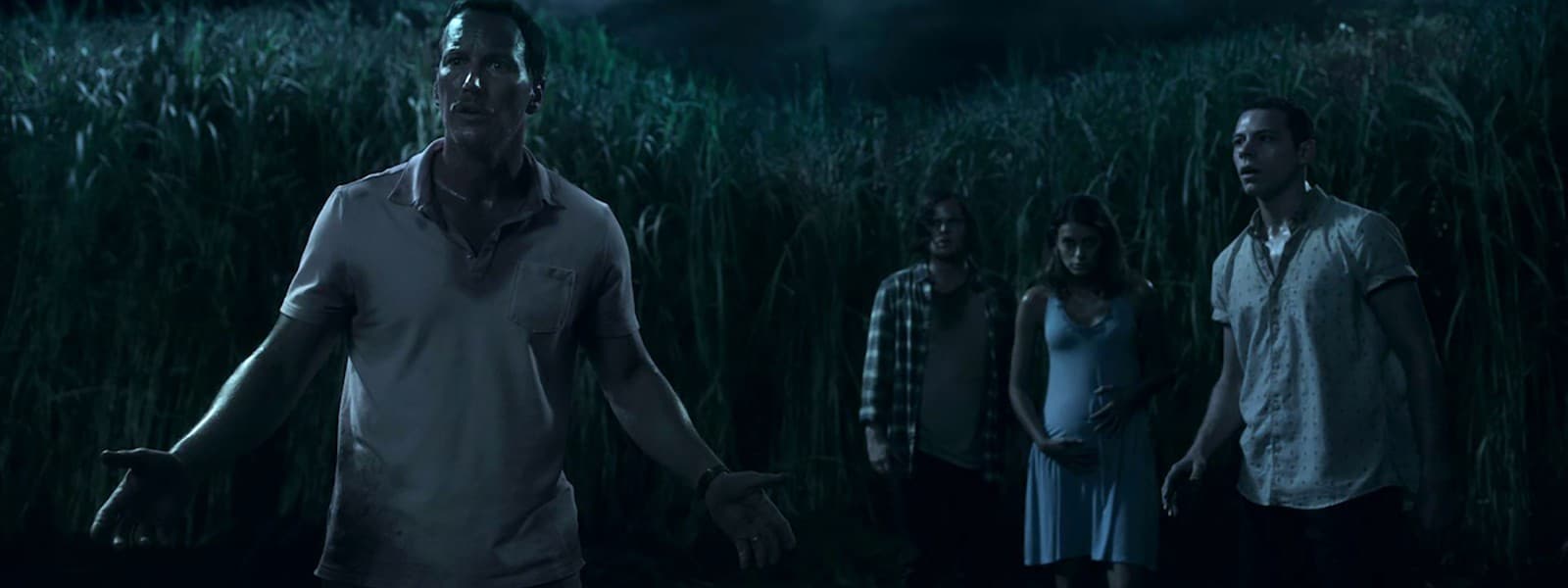 In The Tall Grass: Review