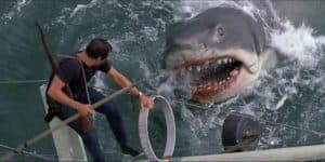 Brody and the great white shark