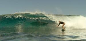 Shark in the surf