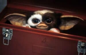 Gizmo from Gremlins