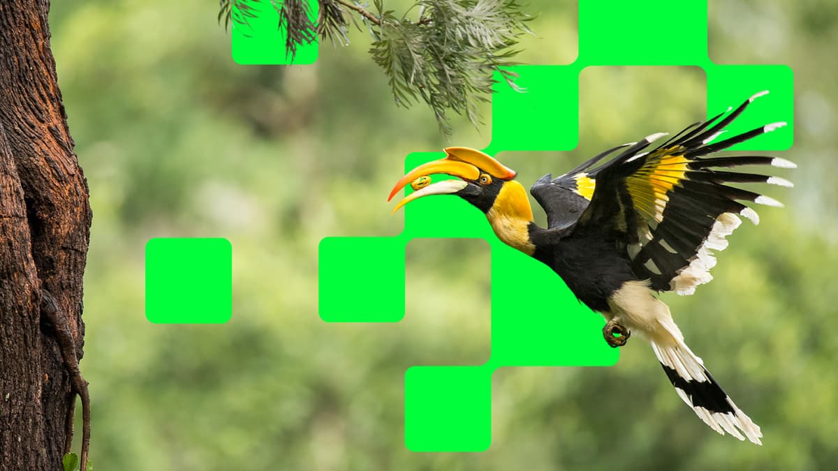 Green Web Game Jam 2025: Embedding Ecology into Gameplay