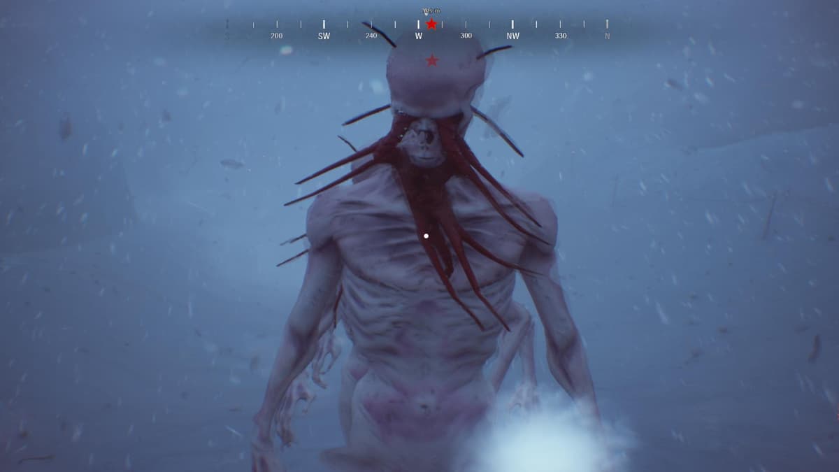 NEDRA: Soviet Antarctic Survival Horror Reinvented