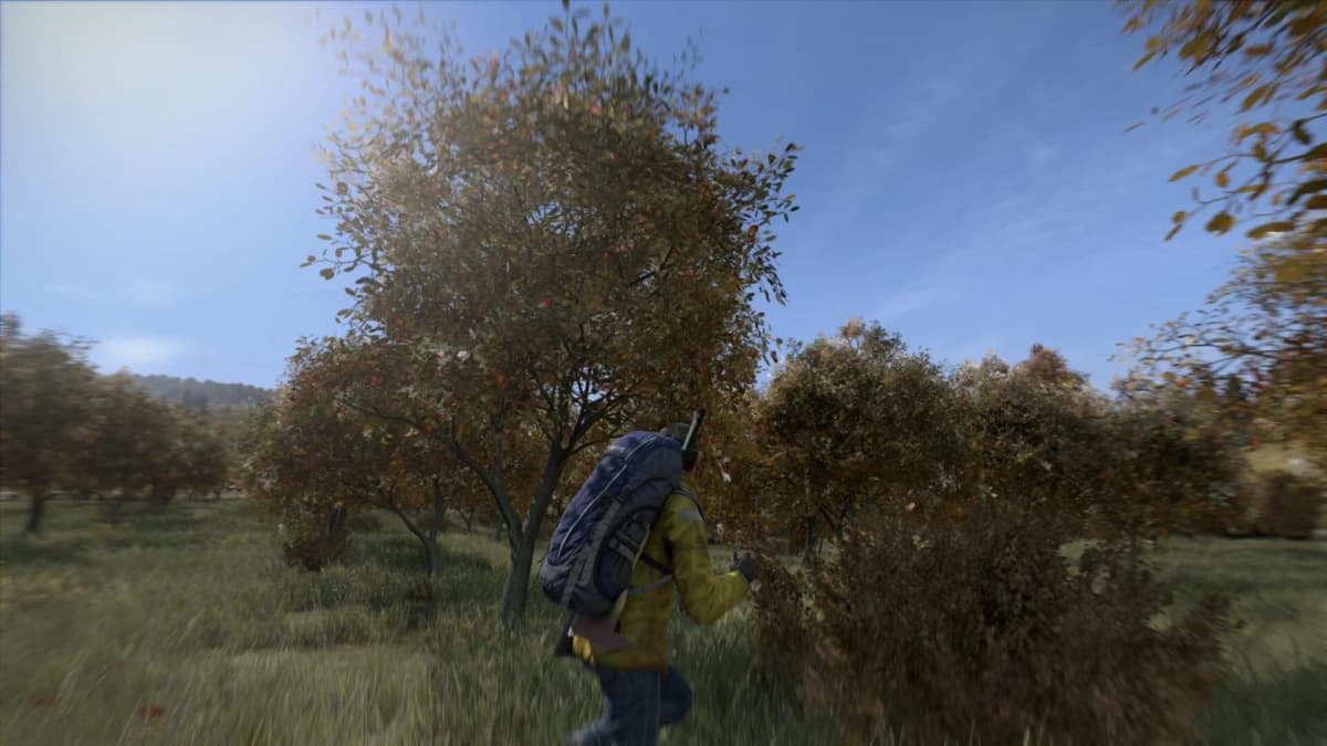 Chaos Incoming: DayZ Goes Free on PS Plus Extra