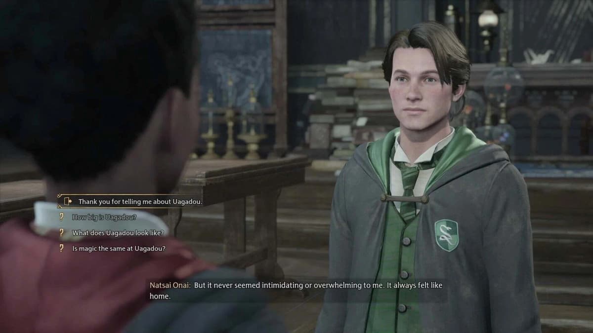Screenshot from Hogwarts Legacy