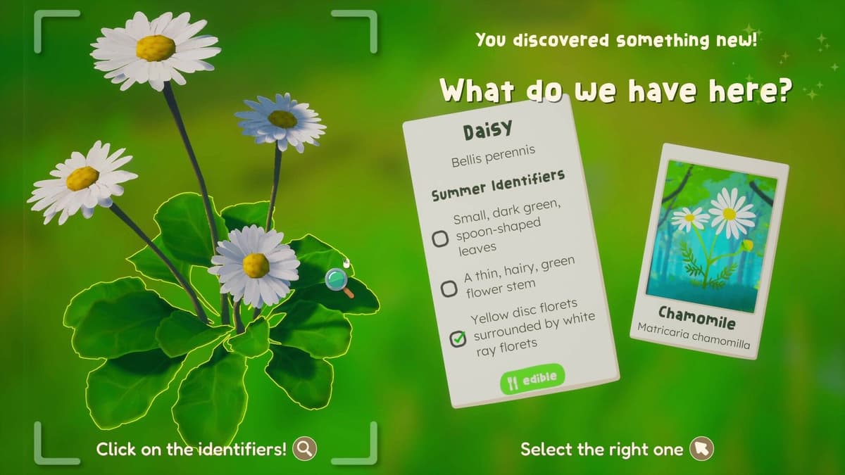 Can a Foraging Game Teach You Real Botany? Meet “Out and About”