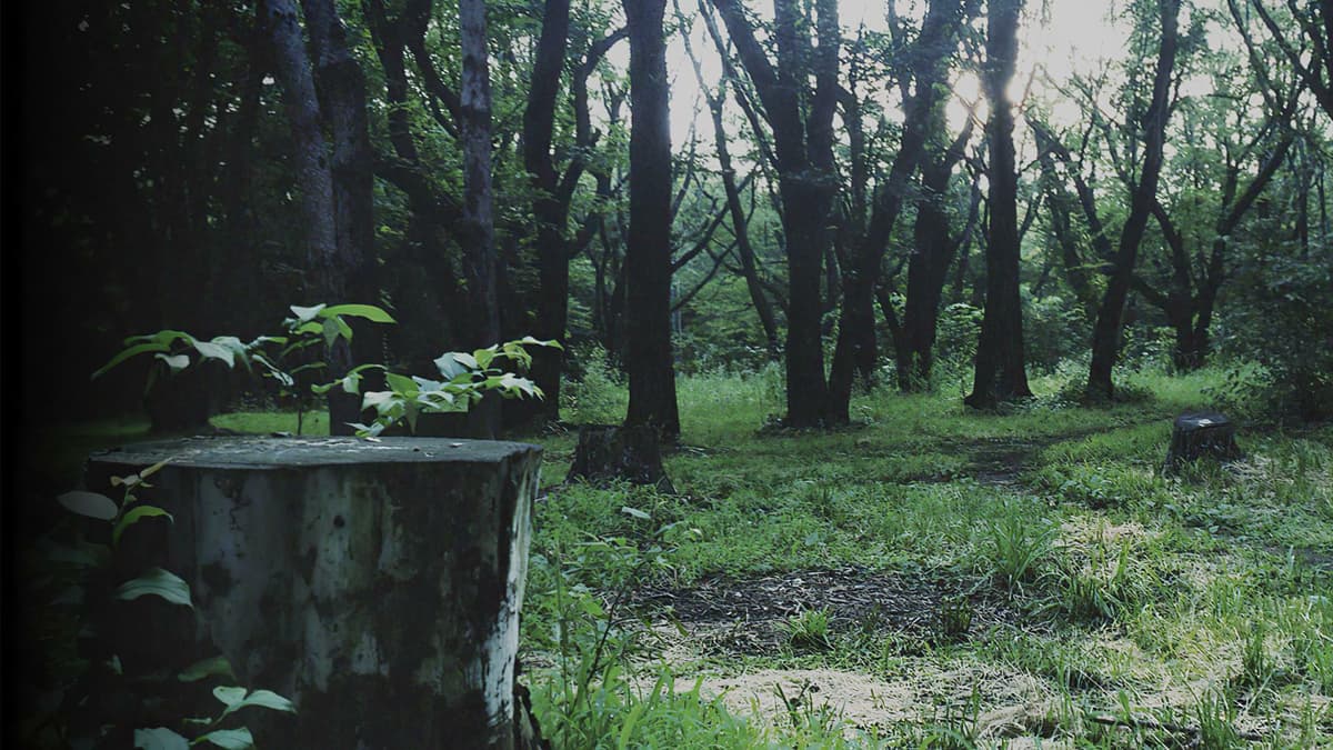 P.T. – trailer / artwork