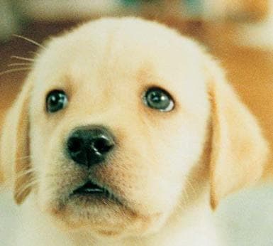 Super State (Sonic: Friends and Foes – Rainbow Foil) – trailer / artwork