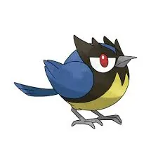 Rookidee – one of the cutest bird Pokémon