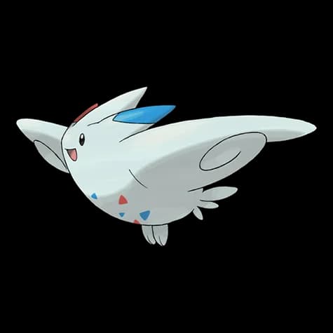 Togekiss – one of the cutest bird Pokémon