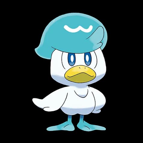 Quaxly – one of the cutest bird Pokémon