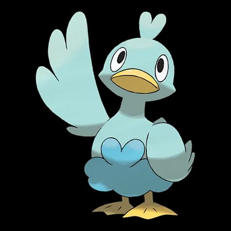 Ducklett – one of the cutest bird Pokémon