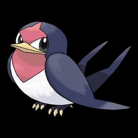 Taillow – one of the cutest bird Pokémon