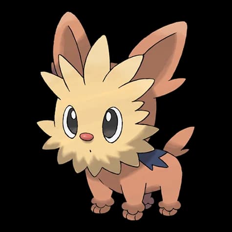 Lillipup – one of the cutest dog Pokémon