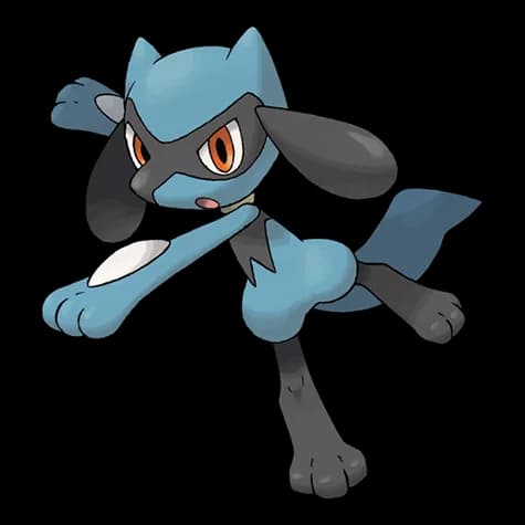 Riolu – one of the cutest dog Pokémon