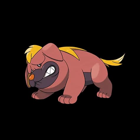 Maschiff – one of the cutest dog Pokémon