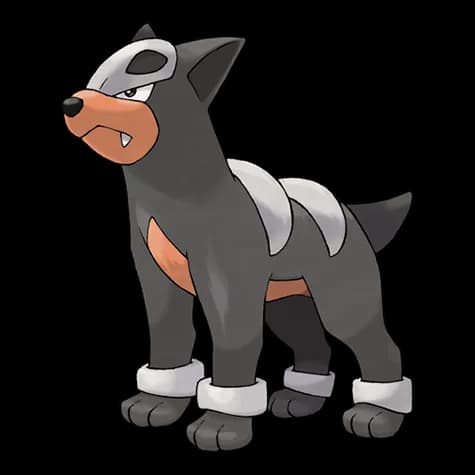 Houndour – one of the cutest dog Pokémon