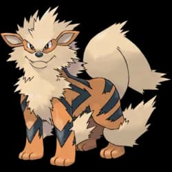 Arcanine – one of the cutest dog Pokémon