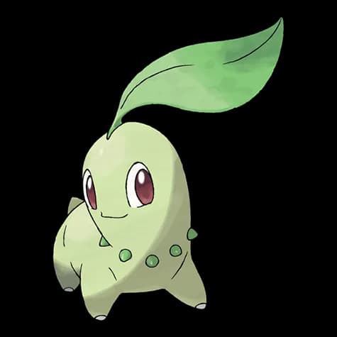 Chikorita – one of the cutest grass Pokémon