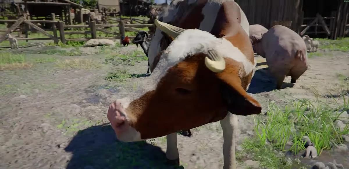 Close-up of a cow with pigs, a goat and sheep at a Crimson Desert ranch