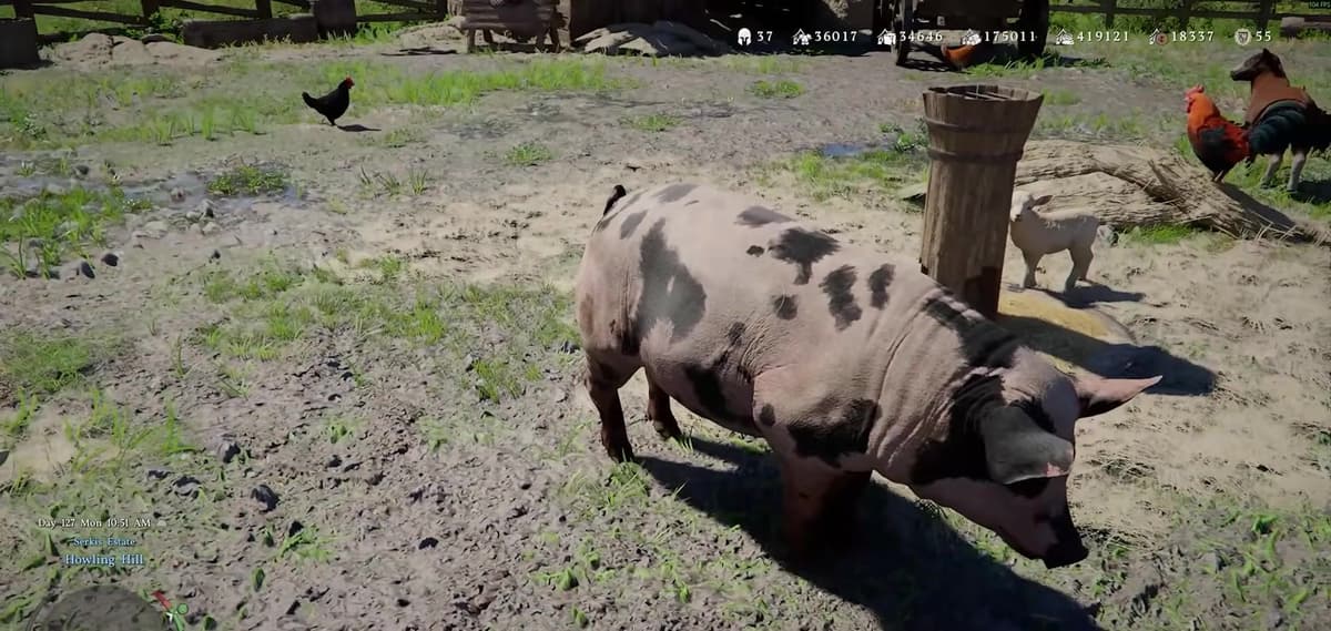 A pig and other livestock at the Howling Hill ranch in Crimson Desert