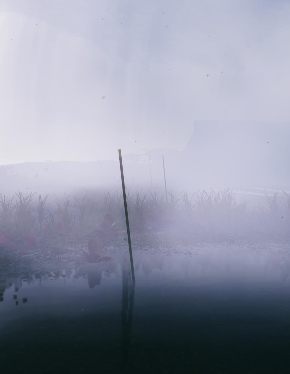 Fog rolling over the wetlands of Dire Marsh in Marathon