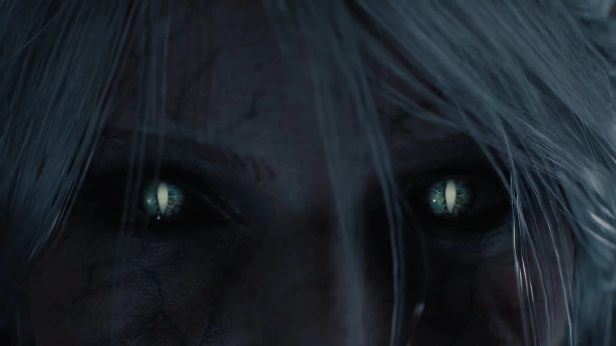 Screenshot from The Witcher IV