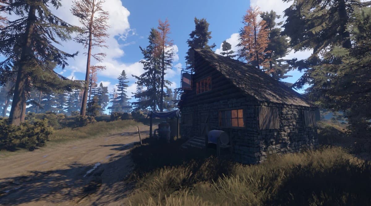 Screenshot from Rust