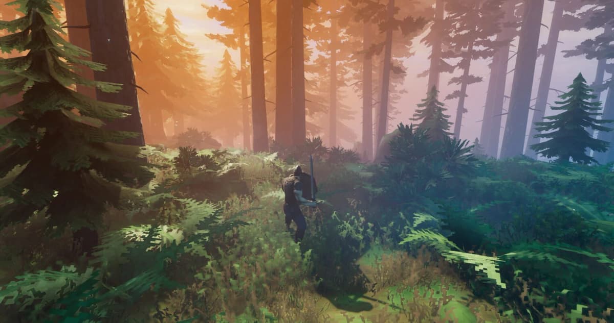 Screenshot from Valheim