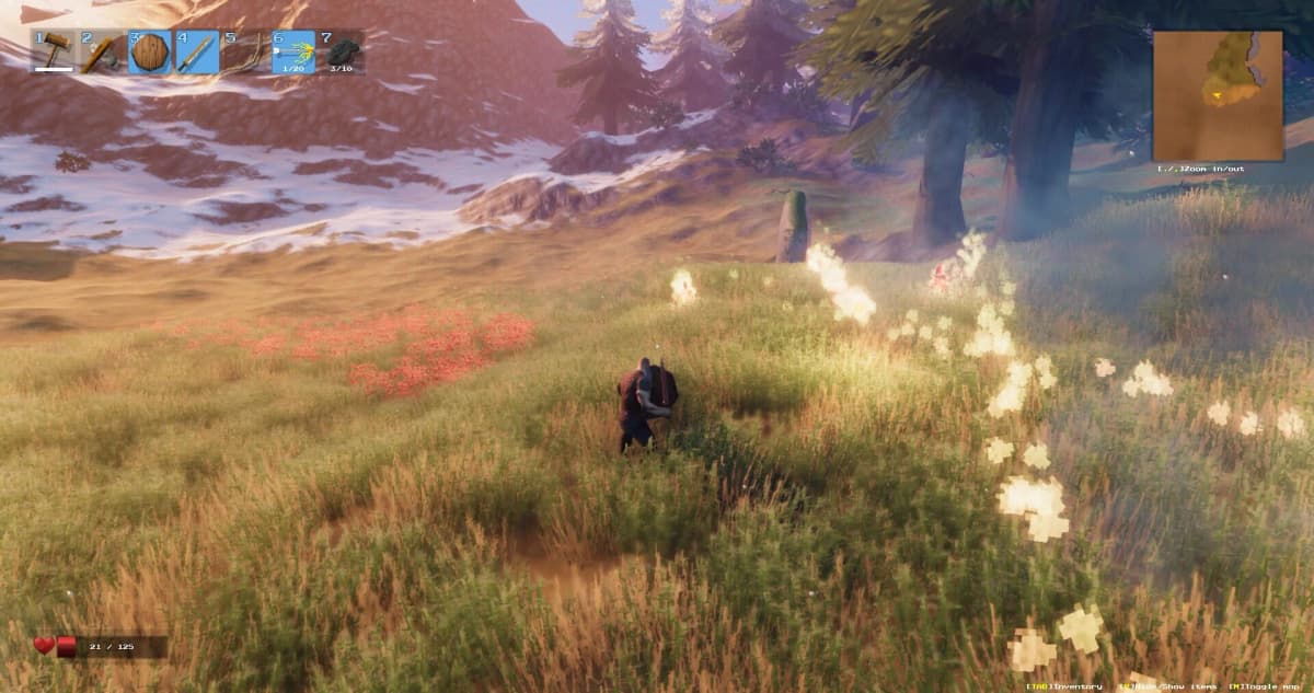 Screenshot from Valheim