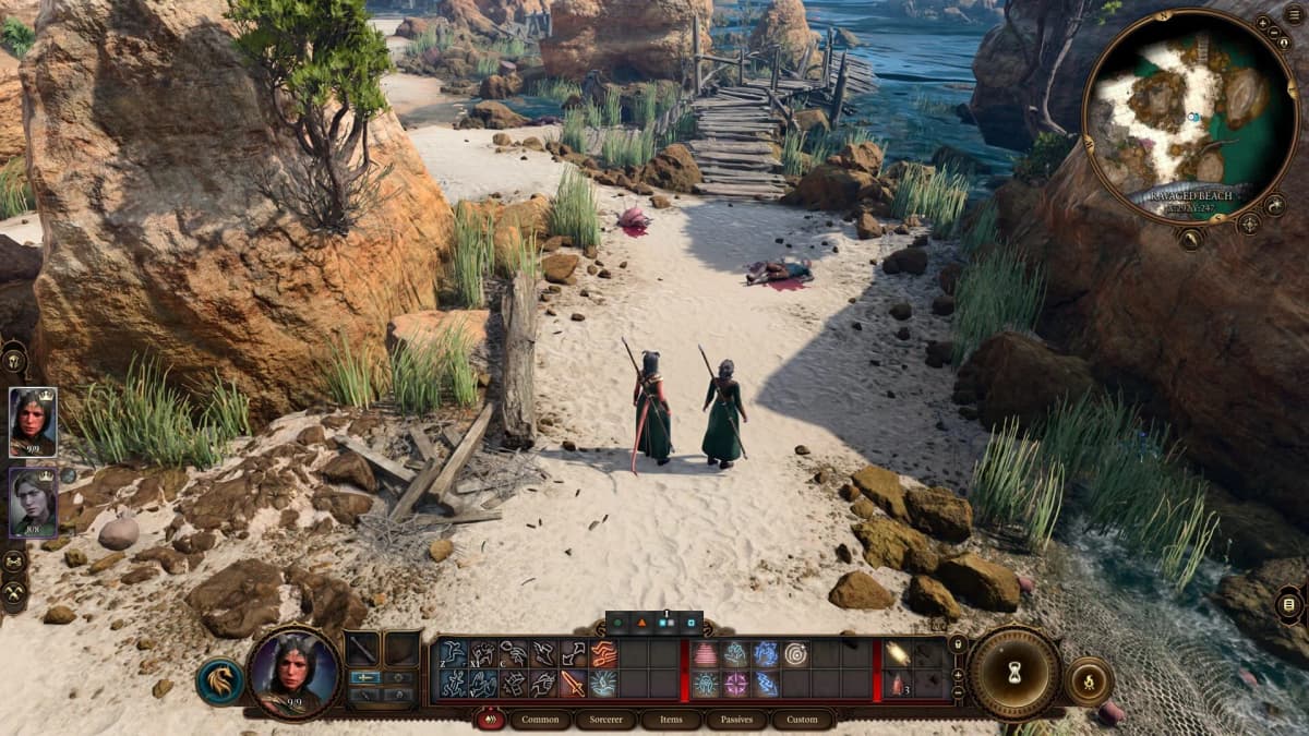 Screenshot from Baldur's Gate III