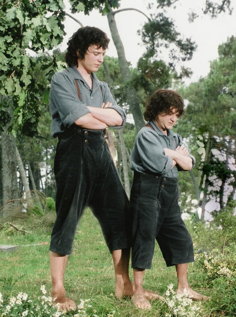Frodo - played by Elijah Wood and scale double Kiran Shah