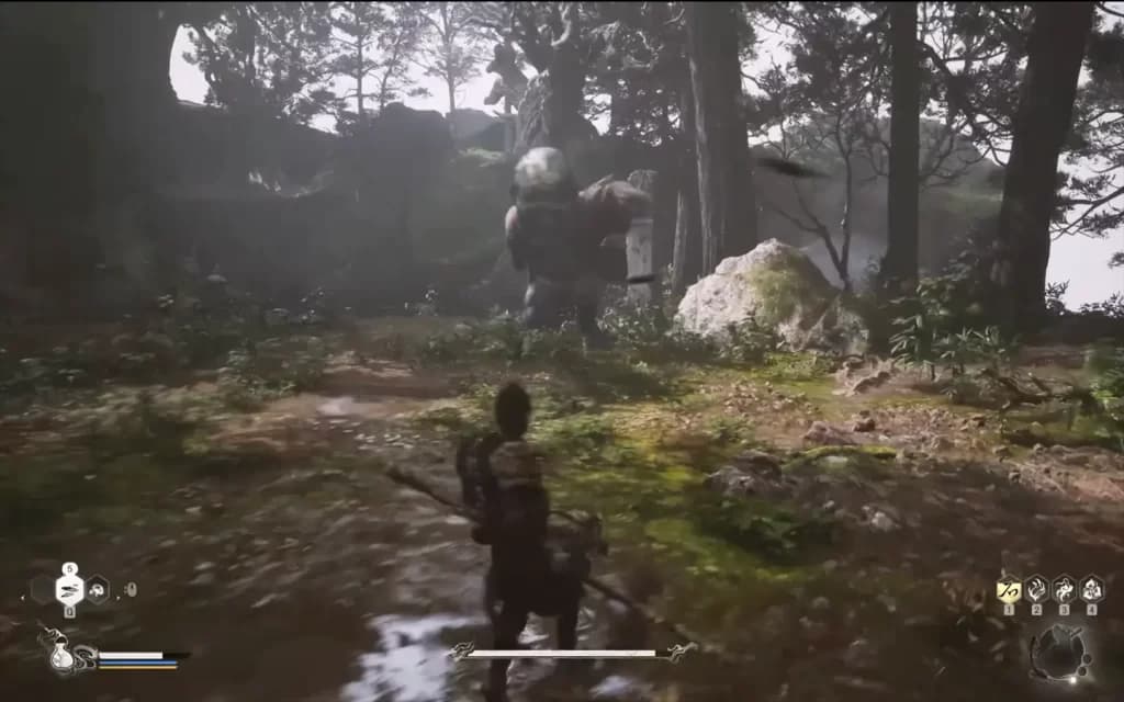 Black myth wukong