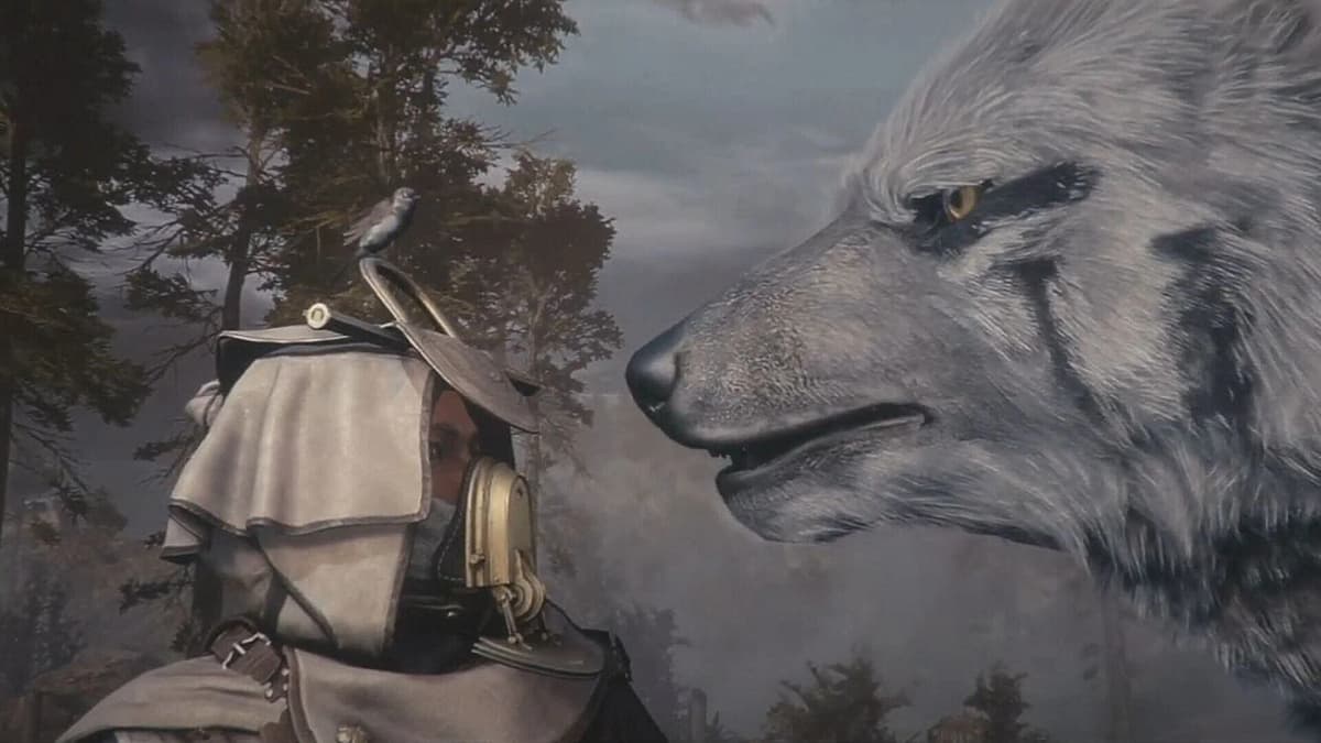 Soulframe: battle with monstrous, animal-themed boss in a misty arena