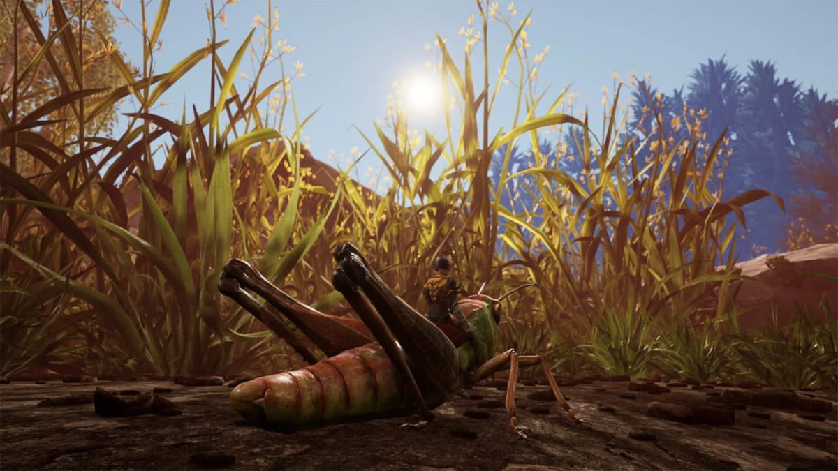 Players exploring together on different platforms in Smalland