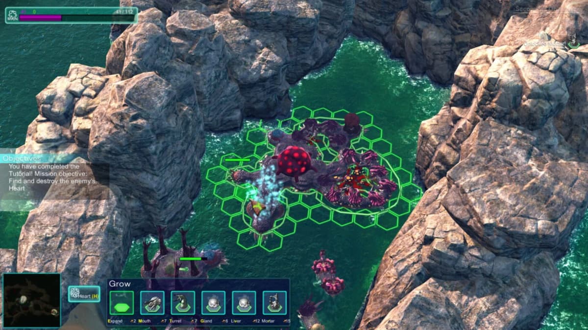 Additional visual content (2)