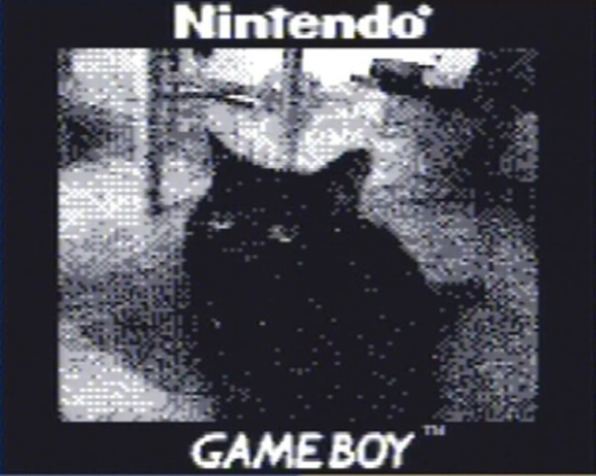 Screenshot from Game Boy Camera