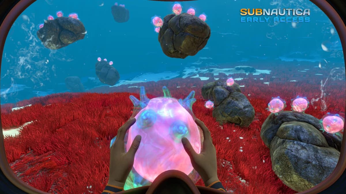 Subnautica’s free Switch 2 upgrade makes revisiting 4546B irresistible