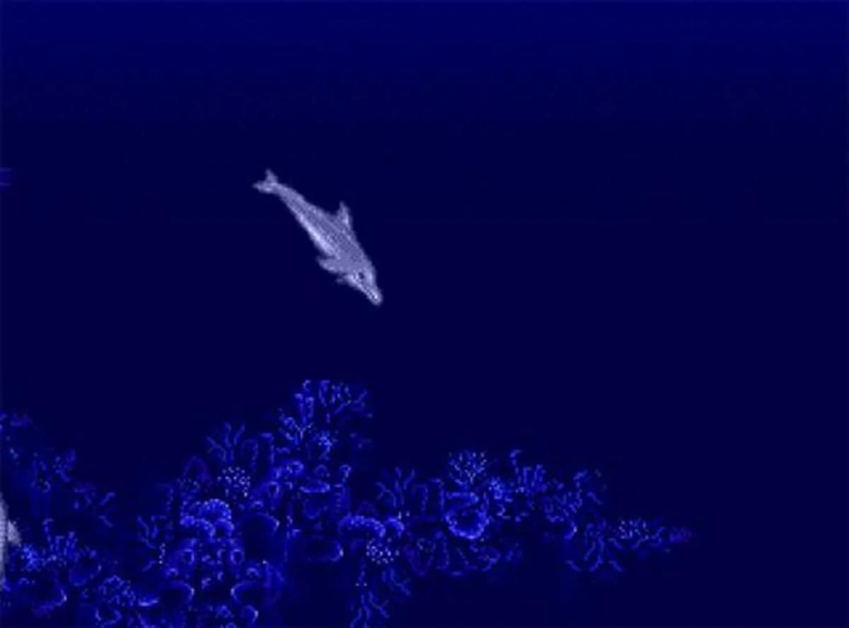 Screenshot from Ecco the Dolphin