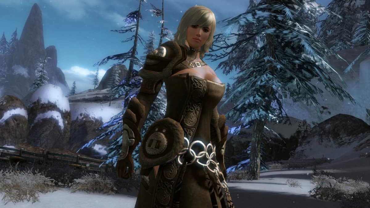 Screenshot from Guild Wars 2