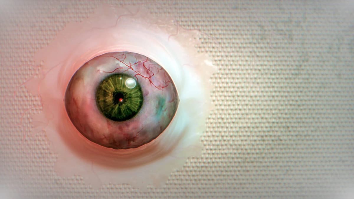 Screenshot from BrokenLore: Don't Watch