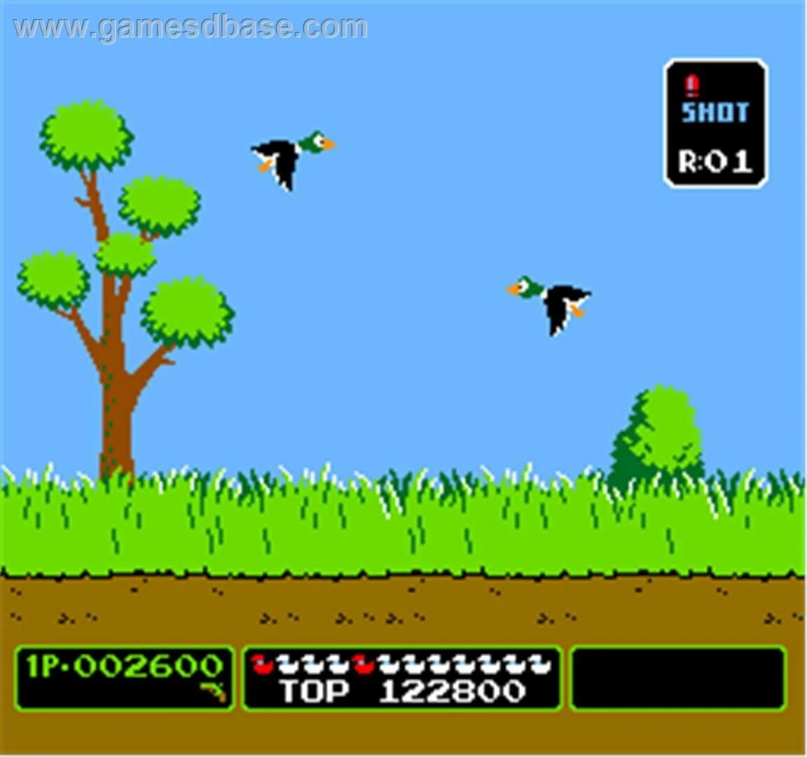 Screenshot from Duck Hunt