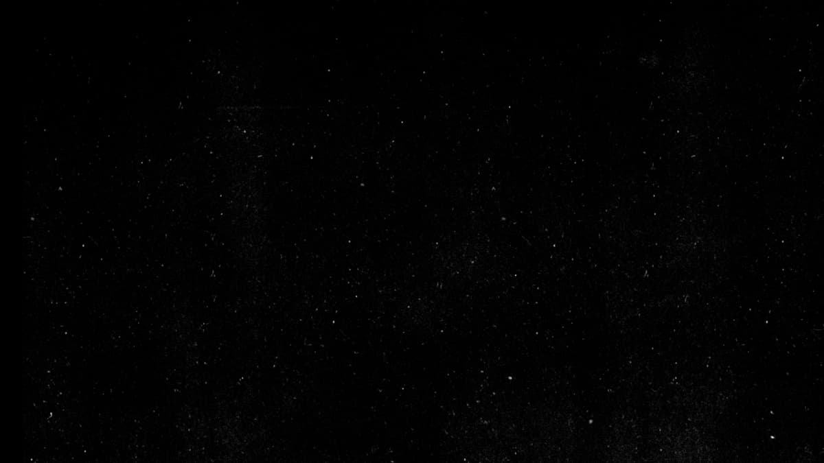 skate. hits Early Access on Sept 16 — free, cross-play, and finally feeling like Skate again