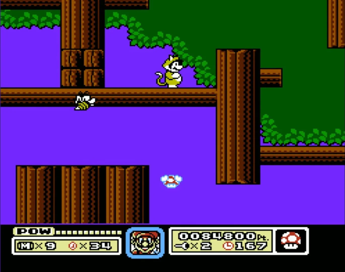 Screenshot from Super Mario Bros. 6
