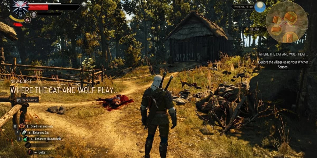 Screenshot from The Witcher 3: Wild Hunt - New Quest 'Where the Cat and Wolf Play...'