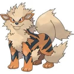 Arcanine – one of the cutest fire Pokémon