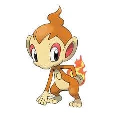 Chimchar – one of the cutest fire Pokémon
