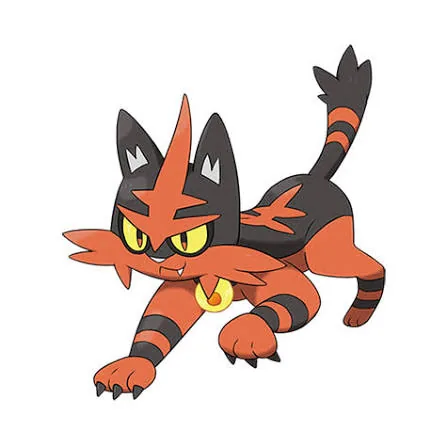 Torracat – one of the cutest fire Pokémon